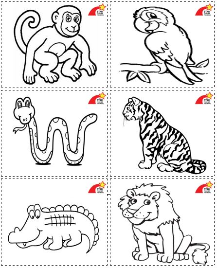 Jungle Animal Playing cards – Star Teacher Training